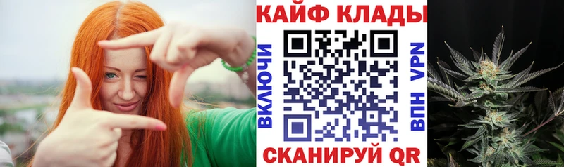 ГАШ Кашин