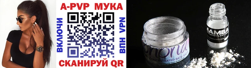 Наркошоп купить Псилоцибиновые грибы  Марихуана  Мефедрон  ГАШИШ  Кашин