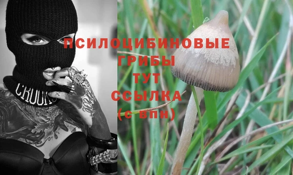 apvp Наволоки